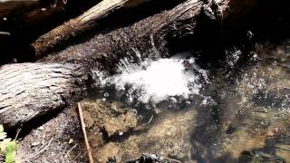 Small crystal-clear waterfall close-up static camera realtime HD V09111