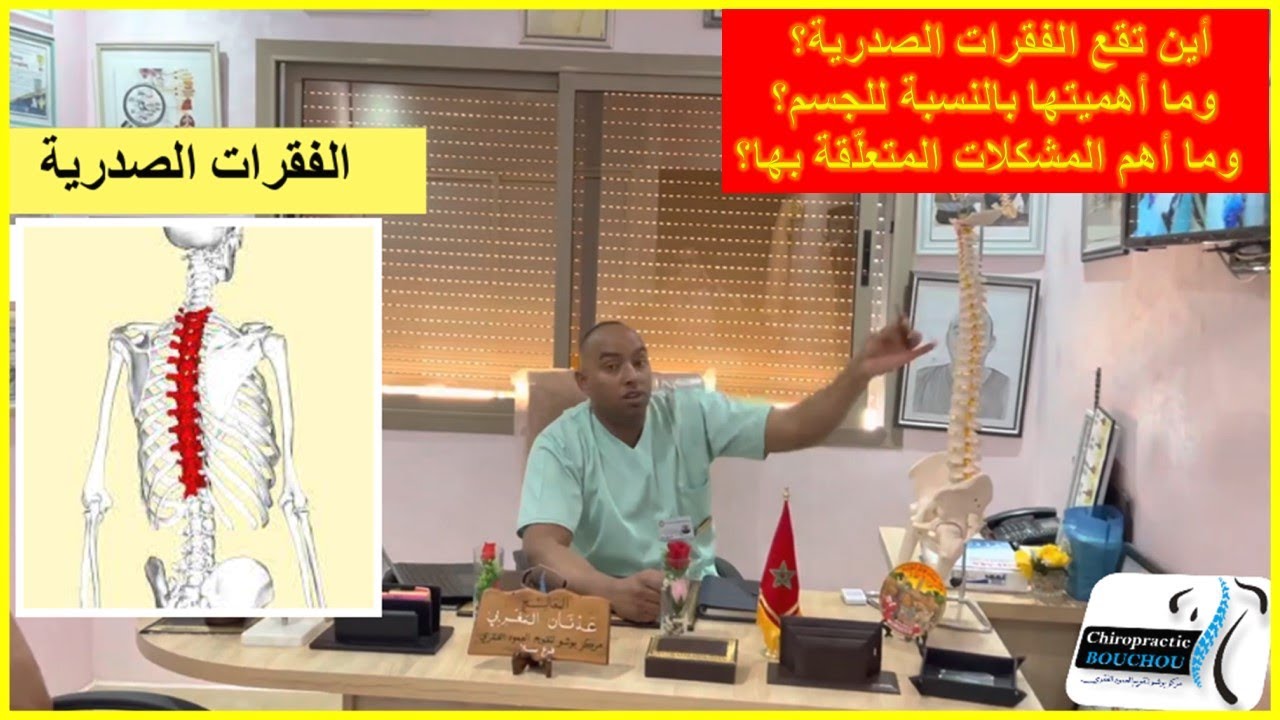 أهم المعلومات عن الفقرات الصدرية