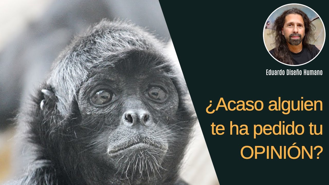 🔶 Puerta 17 🤨 ¿Acaso alguien te ha pedido tu Opinión? - La Mente Lógica 🧬 Diseño Humano