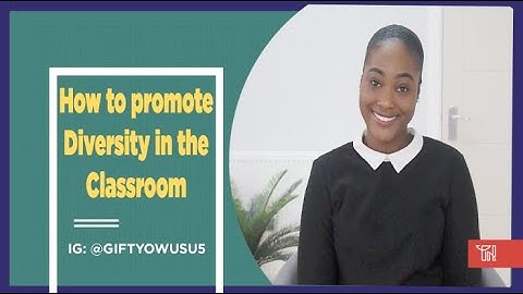 Promoting Diversity in the Classroom