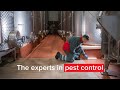 The experts in commercial pest control | Rentokil