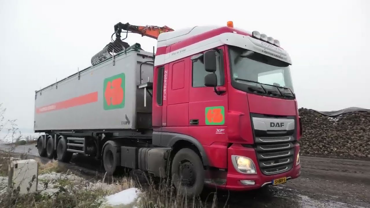 SUIKERBIETEN LADEN OP DE VRACHTWAGEN DOOSAN DX 170 W