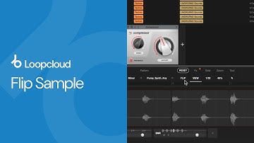Introducing Flip Sample