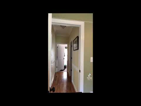 Donald Duck Drowning Compilation