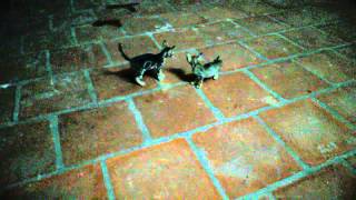 WP 20150623 002