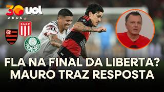 ROJO CLEARED TO PLAY IN SEMIFINAL AGAINST FLAMENGO; MAURO CEZAR PROVIDES DETAILS ON TRIBUNAL'S RE...