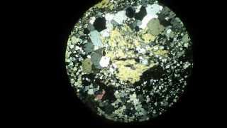 Staurolite In Polarizing Microscope