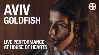 Aviv  Goldfish  At House Of Hearts
