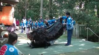 20161015猪名川町広根　獅子舞
