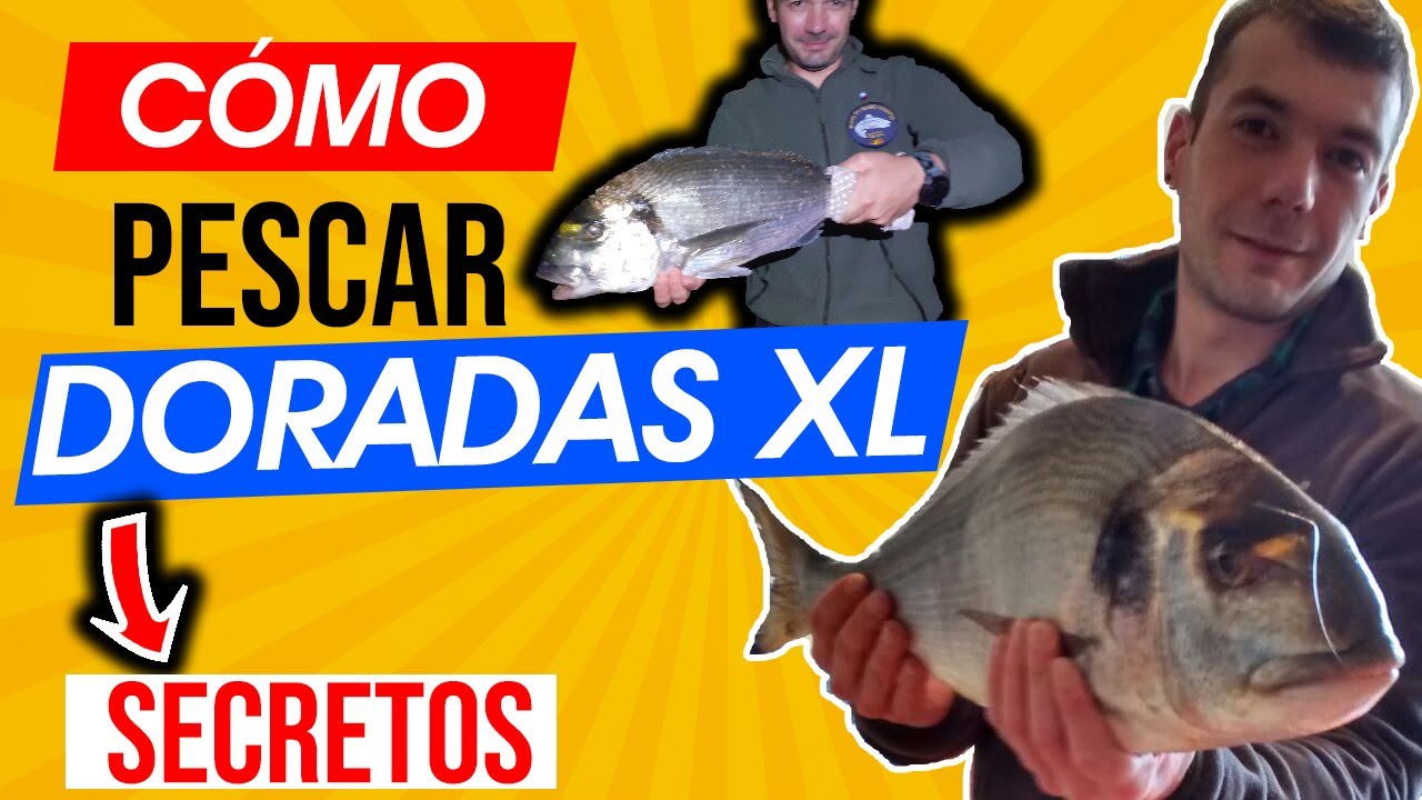 CÓMO PESCAR DORADAS 📕 Surfcasting 📗 (Consejos y TRUCOS) Asturias / Galicia