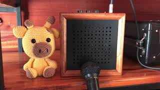 Mini Amplificador Ruby Amp