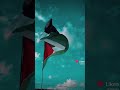 لن نرضى بجزء محتل
