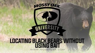 Locating Black Bears Without Using Bait