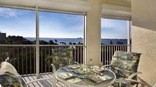 Cindy Cyrus presents Laguna Dr