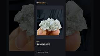 Video preview: Purple-Tipped Scheelite — Yaogangxian Mine, Hunan · 4.2 cm | Natural Mineral Specimen