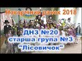 Новорічний ранок 2018 ДНЗ №20, Старша група №3