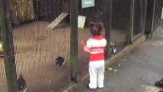 Download Lagu Leila and Skansen (Sweden) - July 2007 MP3