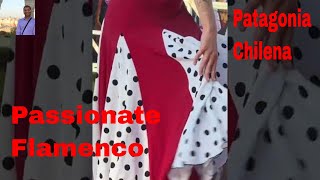 Happy Valentines Day Pionate Flamenco Ever, Beautiful Female Dancer, Puerto Varas, Chile