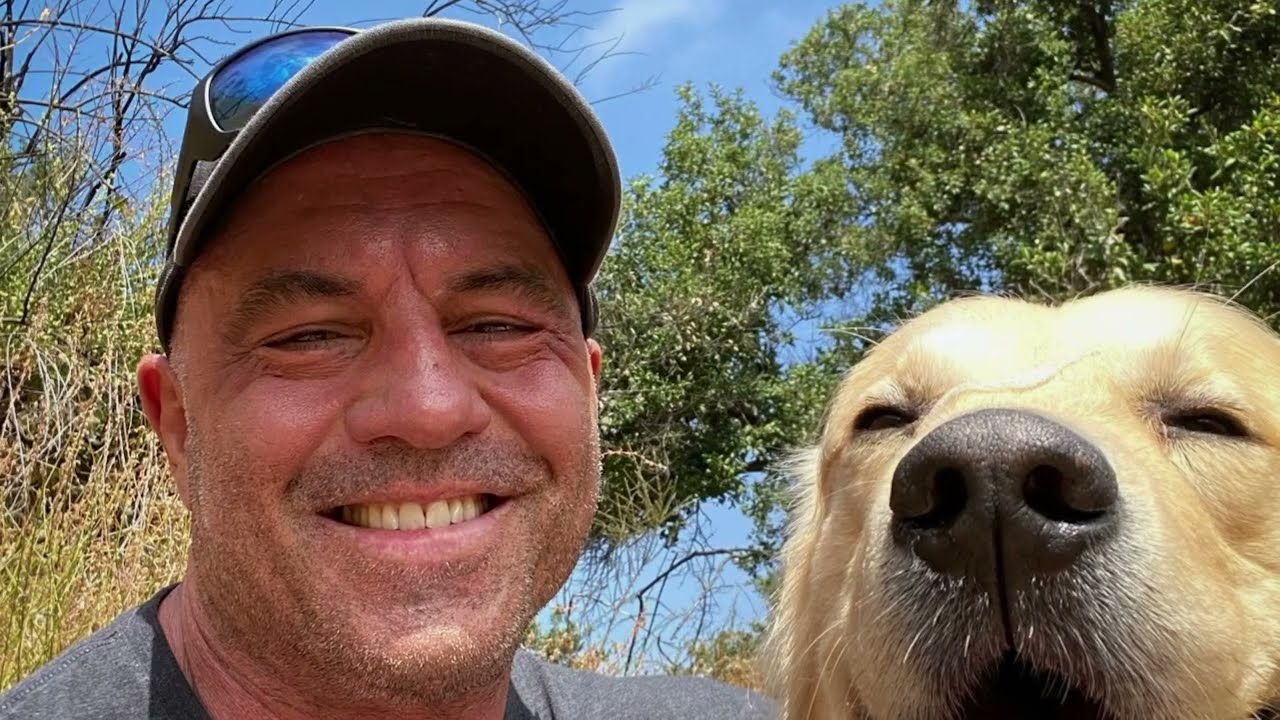 Client Video - A Visual Curation of a Podcast