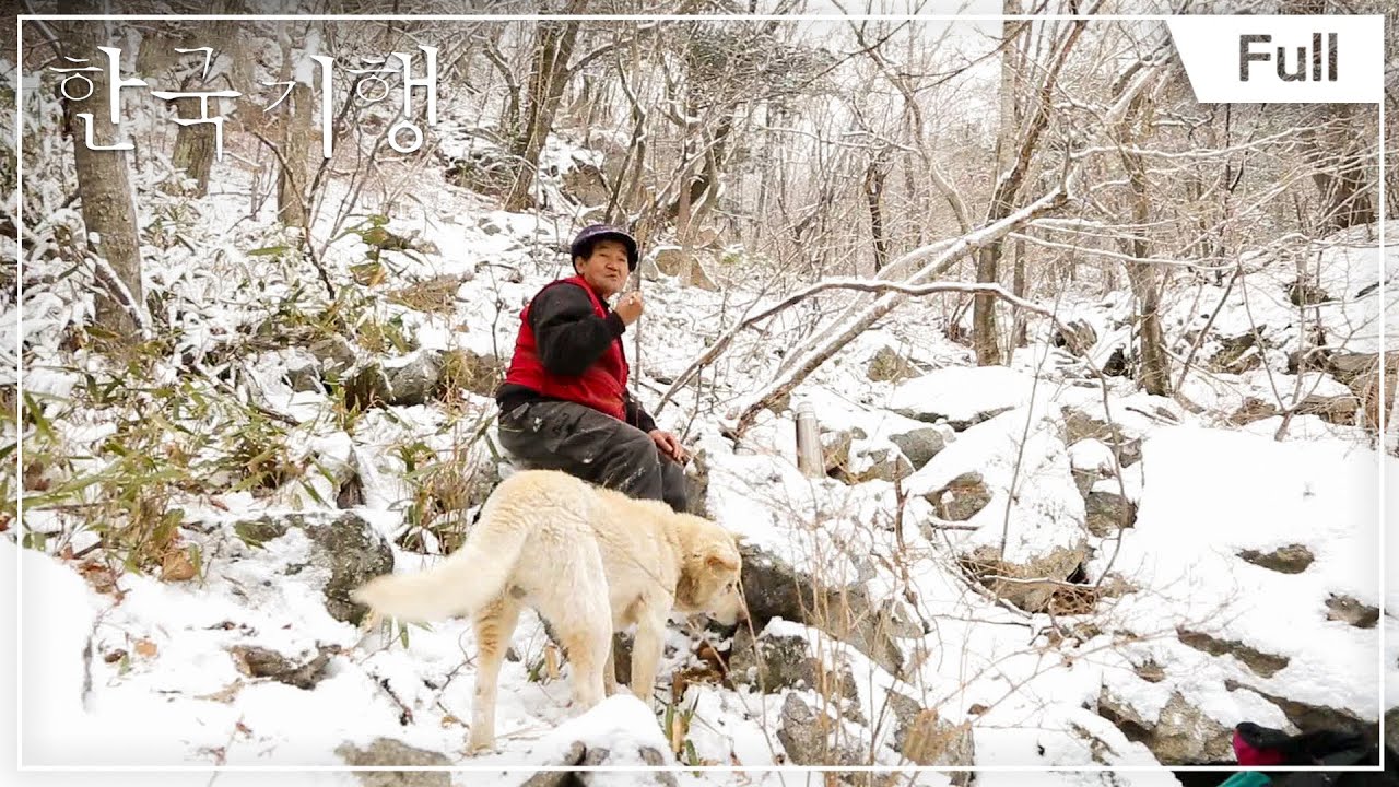 [Full] 한국기행 - 하동포구 80리 1부 섬진강이 부르는 지리산의 봄