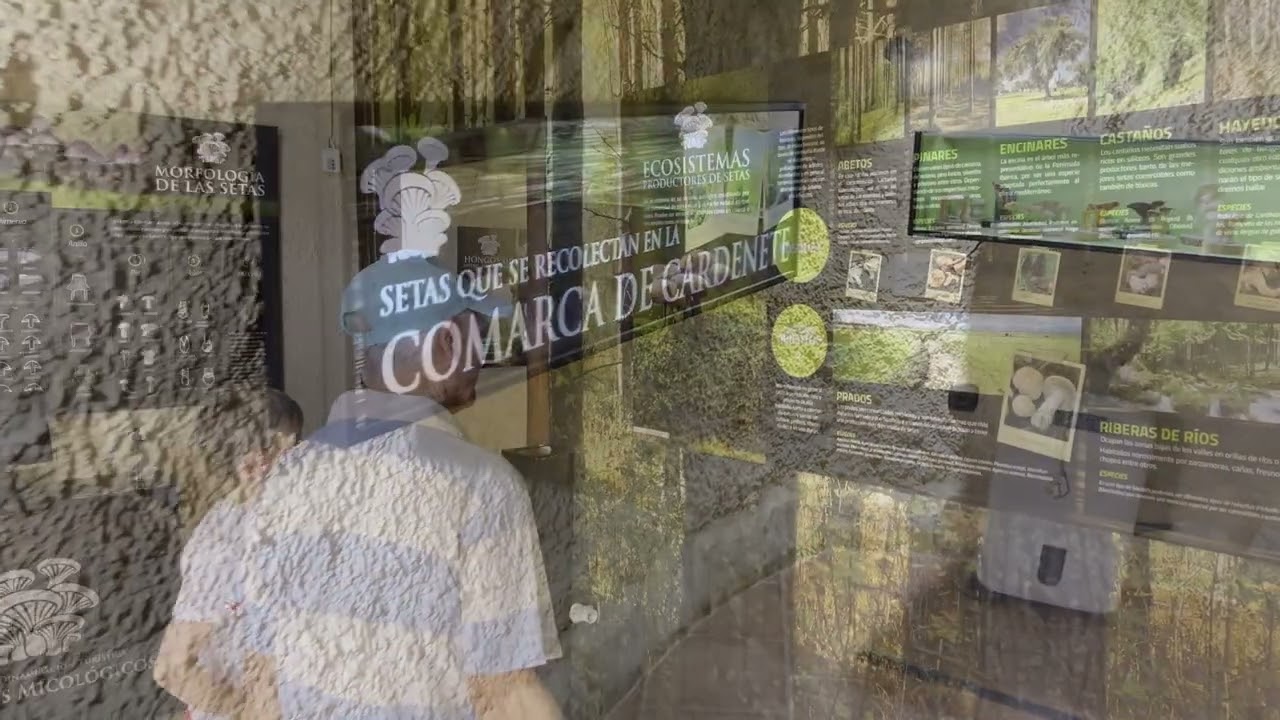 CARDENETE; UN PARAISO PARA LOS SENTIDOS