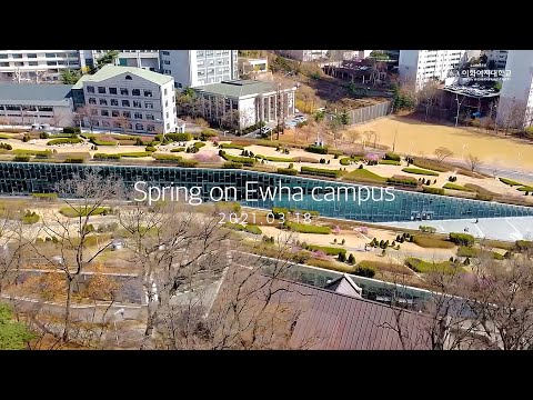 [오늘자 이화캠] 이화에 찾아온 이른 '봄' 영상 스케치!
