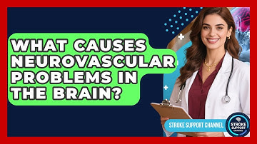 What Causes Neurovascular Problems in the Brain? - Stroke Support Channel