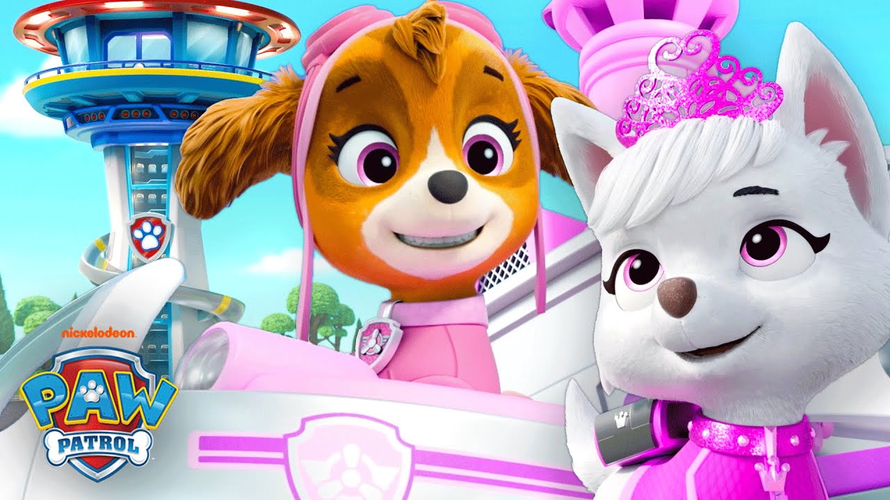 skye-paw-patrol-make-an-emergency-rescue-at-the-lookout-tower