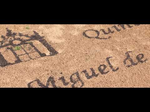 Quinta São Miguel de Arcos