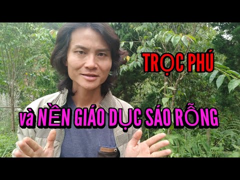 Video Luận về 