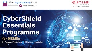 CyberShield Essentials Programme