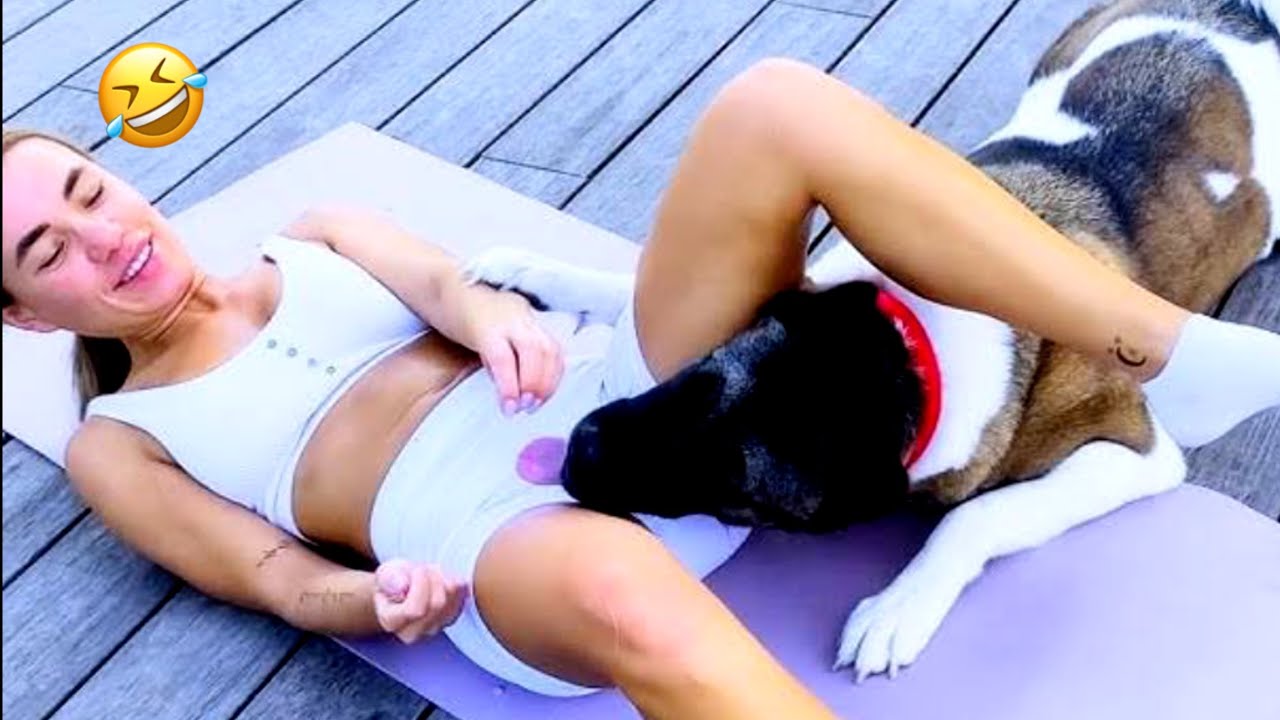 Best Of Viral Dog Videos 2025 || Try Not To Laugh!