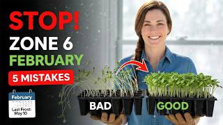 5 Seed Starting Mistakes in Zone 6: Do THIS in February!