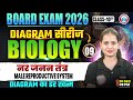 Class 10 Biology Diagrams | Male Reproductive System | 10th Biology Diagram Series