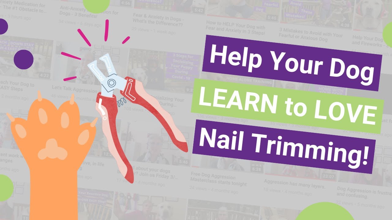 Help Your Dog LEARN to LOVE Nail Trimming! YouTube