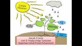 Lagu Apa itu fotosintesis(photosynthesis)