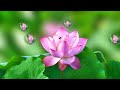 A07 687  夫婦みち 三門忠司