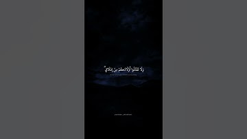 وبالوالدين احسانا | محمد صديق المنشاوي | سورة الانعام