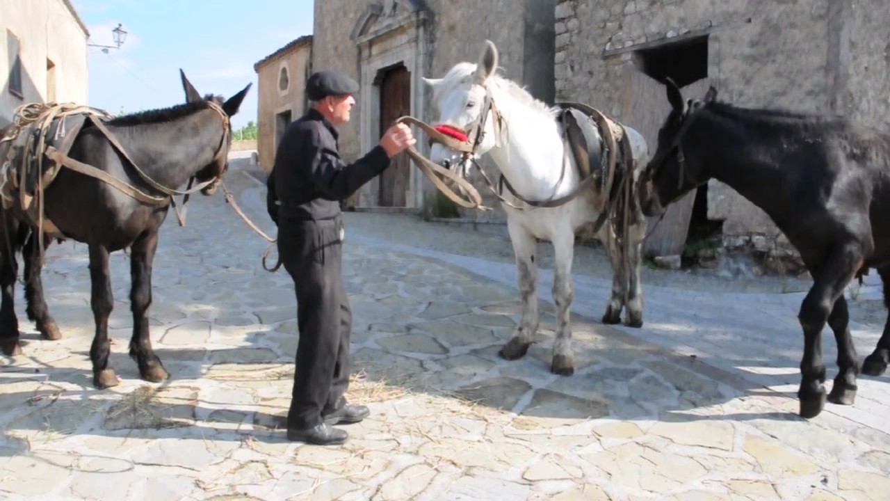Zio Angelo e i muli di Salvatore di Cicc'