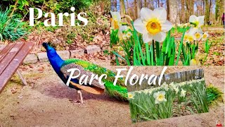 Парк цветов  в Венсенском лесу / Влог Париж 2023.