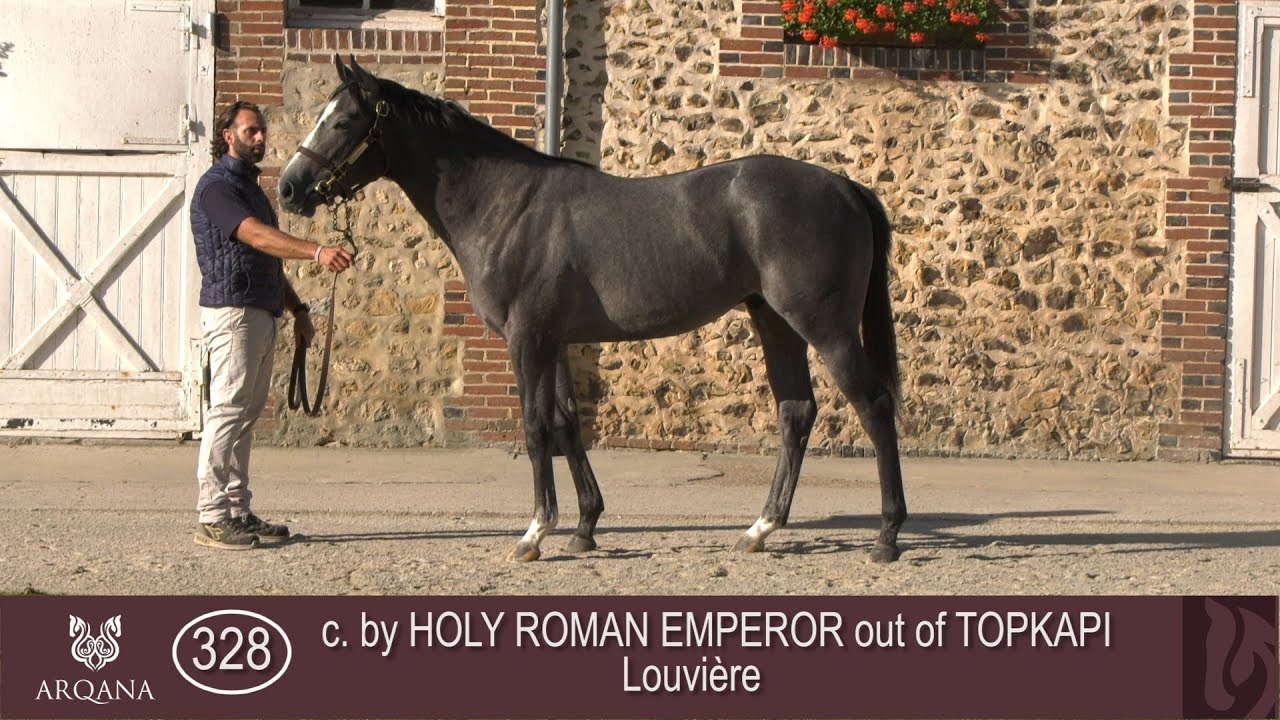 2023 October Yearling Sale - Lot 328 c. N (HOLY ROMAN EMPEROR x TOPKAPI)