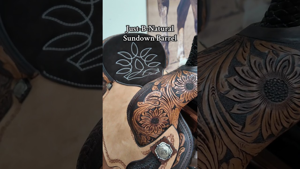 Which saddle are you choosing?🛢🐴😍 