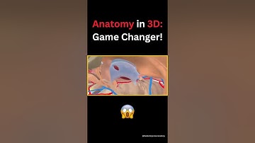 Medical Education: Explore Human Anatomy in 3D with VR & AR!