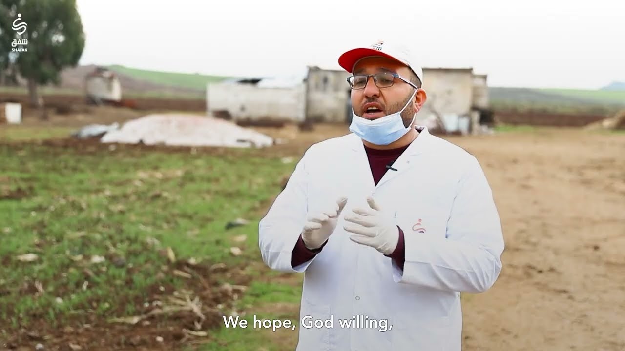 حملة لقاح الأبقار ضد الحمى القلاعية في شمال غرب سوريا