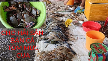 Chợ hải sản Phan Rí bán cá tôm mực.