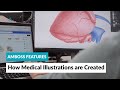 AMBOSS Features: How Medical Illustrations are Created