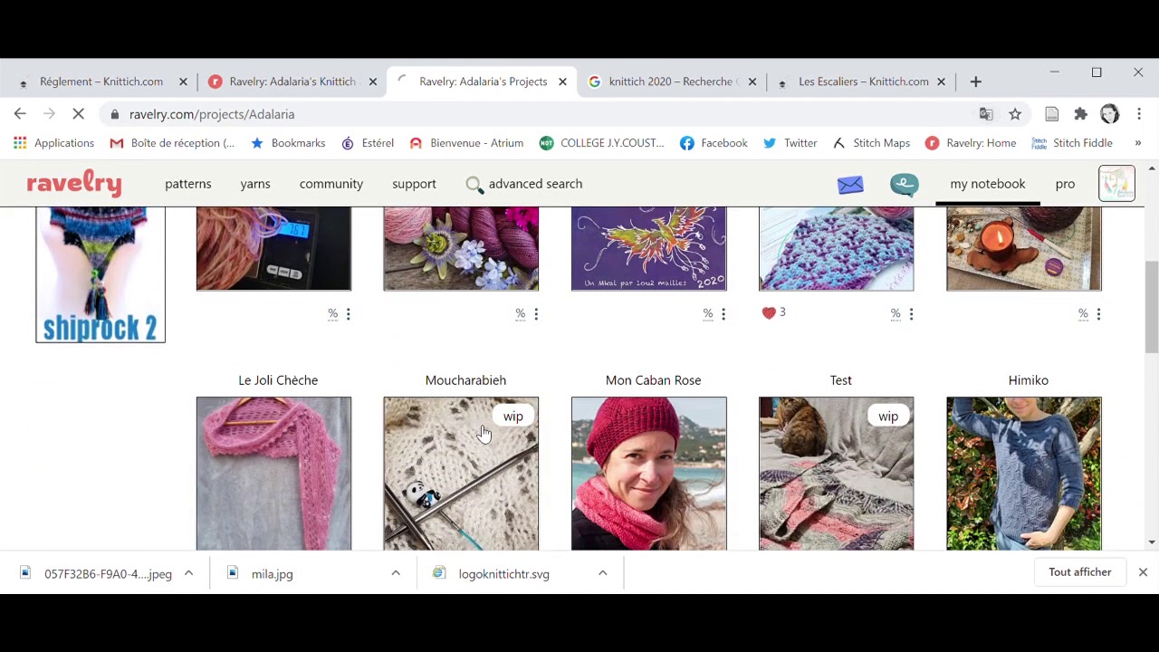 Créer sa fiche Knittich 2020