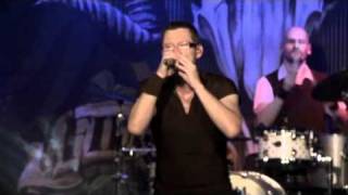 fiddler&#39;s green - lanigan&#39;s ball (live)