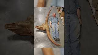 Rare Photos That You've never Seen Rare Photos That You've never Seen