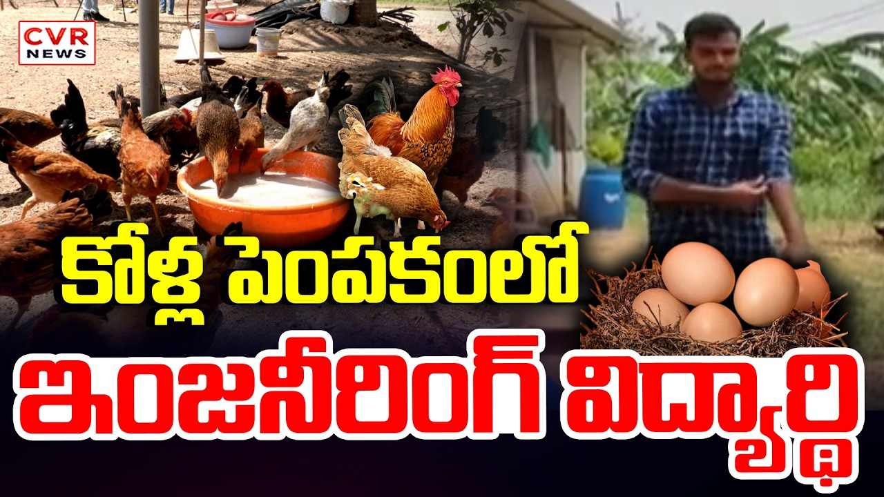 కోళ్ల పెంపకంలో ఇంజనీరింగ్ విద్యార్థి | Engineering Student In Poultry Farming | CVR News